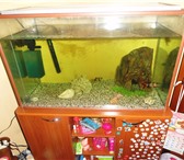 Изображение в Домашние животные Товары для животных Продам аквариум 300+ литров, все необходимые в Красноярске 17 000