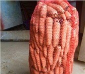 Изображение в Прочее,  разное Разное Рады приветствовать! Продаем морковь от производителя. в Москве 10