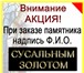 Изображение в Прочее,  разное Разное Изготовление и установка памятников в Мурманске в Мурманске 13 900