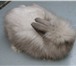 Фото в Домашние животные Грызуны Продаются декоративные крольчата породы ангорский в Санкт-Петербурге 1 000