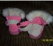 Изображение в Для детей Детская обувь Сапожки вязанные с отделкой (искусственный в Асбесте 650