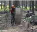 Foto в Строительство и ремонт Разное Удаление деревьев, кронирование, выкорчевка в Москве 1 000