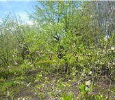 Фотография в Недвижимость Сады Башкортостан, Уфимский район, с/с Таптыковский, в Уфе 450 000