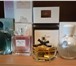 Фото в Красота и здоровье Парфюмерия Оптовые поставки элитной парфюмерии и косметики в Тюмени 75