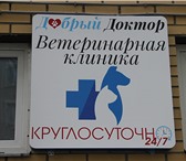 Фото в Домашние животные Услуги для животных За время работы ветеринарной клиники "Добрый в Москве 500