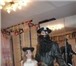 Изображение в Работа Разное Легендарный карибский пират Черная борода в Москве 2 500