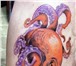 Фотография в Красота и здоровье Салоны красоты Татуировки в г. Набережных Челнах. Профессионально, в Набережных Челнах 2 000