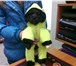 Фото в Домашние животные Товары для животных Индивидуальный пошив одежды для собак. Шапки, в Братске 0