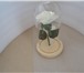 Изображение в Мебель и интерьер Другие предметы интерьера Цвет: белый, розовый. Роза со светодиодной в Липецке 1 500