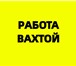 Foto в Работа Вакансии Позиция: упаковка (ж) грузчик(м)Должностные в Москве 99 000