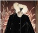 Изображение в Одежда и обувь Женская одежда Продам меховую дублёнки из стриженной овчины, в Томске 20 000