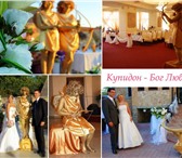 Изображение в Развлечения и досуг Организация праздников Ура, приближается Ваша свадьба, юбилей дорогого в Новороссийске 0