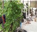 Foto в Недвижимость Продажа домов Продается участок 27 соток по документам, в Сочи 28 000 000