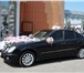 Фотография в Авторынок Аренда и прокат авто Стоимость указана за 1 час по городуВыезд в Россошь 1 000