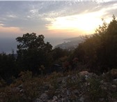 Изображение в Недвижимость Земельные участки Продается 24 сотки земли в городе Ялта, пгт. в Москве 12 090 000