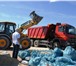Фото в Строительство и ремонт Строительные материалы Предлагаем транспортные услуги. Вывоз грунта в Нижнем Новгороде 120