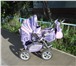 Изображение в Для детей Детские коляски Коляска зима-лето, оснащена множеством оригинальных в Благовещенске 8 000