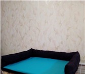 Фотография в Домашние животные Товары для животных Лежанки для домашних любимцев под заказ. в Красноярске 350