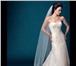 Фотография в Одежда и обувь Свадебные платья Фата белая ,красная ,айвори -от 800 до 1500 в Уфе 700