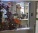 Фотография в Домашние животные Рыбки Аквариумные комплексы из акрилового стекла в Уфе 0