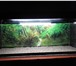 Фото в Домашние животные Разное Здравствуйте, продаю практически новый аквариум, в Москве 3 000
