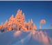 Фотография в Отдых и путешествия Туры, путевки ❄Зимняя сказка на Алтае ❄💦🎅Тип: Активный в Омске 30 390