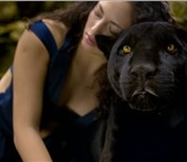 Foto в Работа Резюме #‎Предлагаю‬ ‪#‎транспортные_услуги‬: ‪#‎аренда‬ в Москве 7 000