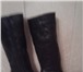 Фотография в Одежда и обувь Женская обувь Продам демисезонные сапоги, черные, размер в Перми 3 000
