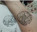 Изображение в Красота и здоровье Разное Художественная татуировка по доступным ценам. в Ставрополе 0