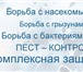 Foto в Прочее,  разное Разное уничтожение клопов, тараканов, блох, муравьев, в Москве 1 000