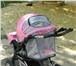 Фото в Для детей Детские коляски Продам детскую коляску трансформер Adamex в Тамбове 5 000