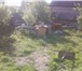 Фото в Недвижимость Продажа домов Продается дом в пгт.Борисовка.Все условия в Белгороде 1 300 000