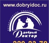 Изображение в Домашние животные Услуги для животных Осуществляем профилактику и лечение домашних в Казани 777