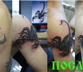 Фото в Красота и здоровье Косметические услуги Художественная татуировка любой сложности, в Красноярске 1 500