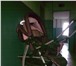 Изображение в Для детей Детские коляски Коляска зима-лето в эксплуатации 7 месяцев.Три в Челябинске 2 500