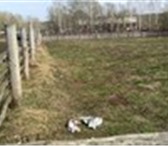 Фотография в Недвижимость Земельные участки Продам участок 12 соток в 45 км. от г.Уфа. в Уфе 270 000