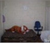 Фото в Недвижимость Квартиры Продам квартиру2-к квартира 45 м² на 2 этаже в Екатеринбурге 2 750 000