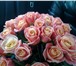 Фото в Домашние животные Растения Роскошные букеты из голландских роз от лучших в Красноярске 1 485