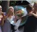 Foto в Развлечения и досуг Организация праздников Фотограф Челябинск Фотографии вашей свадьбы, в Челябинске 4 000