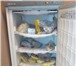 Foto в Электроника и техника Холодильники Продается морозильник Свияга-106 белого цвета. в Кирове 5 000