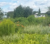 Фото в Недвижимость Сады Срочно продам шикарный сад в живописном месте в Уфе 150 000