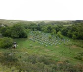 Фото в Прочее,  разное Разное Продаю алтайский мед. Сбор 2015 г. Лесное в Сочи 500