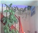 Фото в Недвижимость Продажа домов Продам одну вторую дома 200кв.м. в Емельяновском в Красноярске 9 000 000