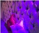 Фотография в Развлечения и досуг Рестораны и бары В ресторанном клубе Клюква ,приятный интерьер, в Оренбурге 1 000