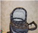 Фото в Для детей Детские коляски Коляска 2-в-1 Anmar HiluxЛегкая рама,  резиновые в Челябинске 7 500