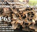 Изображение в Прочее,  разное Разное Рельсы Р65. б.у. длина 9-12.4м. Предназначены в Москве 52 000