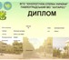 Подрощенная девочка немецкой овчарки 1754802 Немецкая овчарка фото в Волгограде