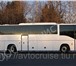 Фотография в Отдых и путешествия Другое Заказ автобусов на любые мероприятия; Заказывай в Москве 700
