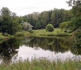 Фотография в Недвижимость Земельные участки Девственный лес и живописное озеро органично в Чехов 4 980 000