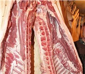 Foto в Прочее,  разное Разное Мясокомбинат имеет собственный убойный цех в Саратове 123